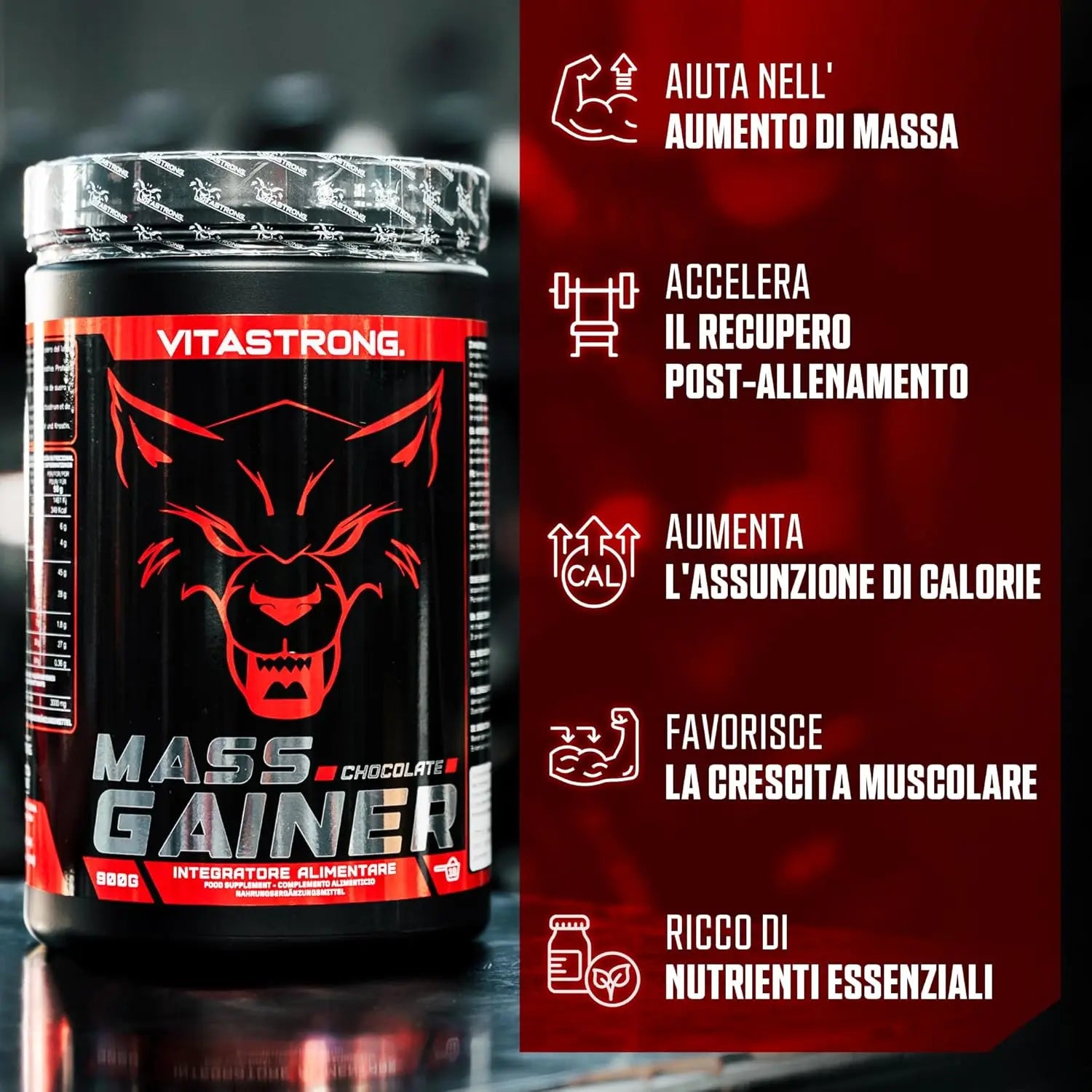 Mass Gainer Vitastrag, 30% High Caloric Protein Powder, Maltodextrins, Cluster Dextrin, 3G Creatine Monohydrated Powder, Gainer Muscle Mass Men & Women High Quality, Weight Gainer