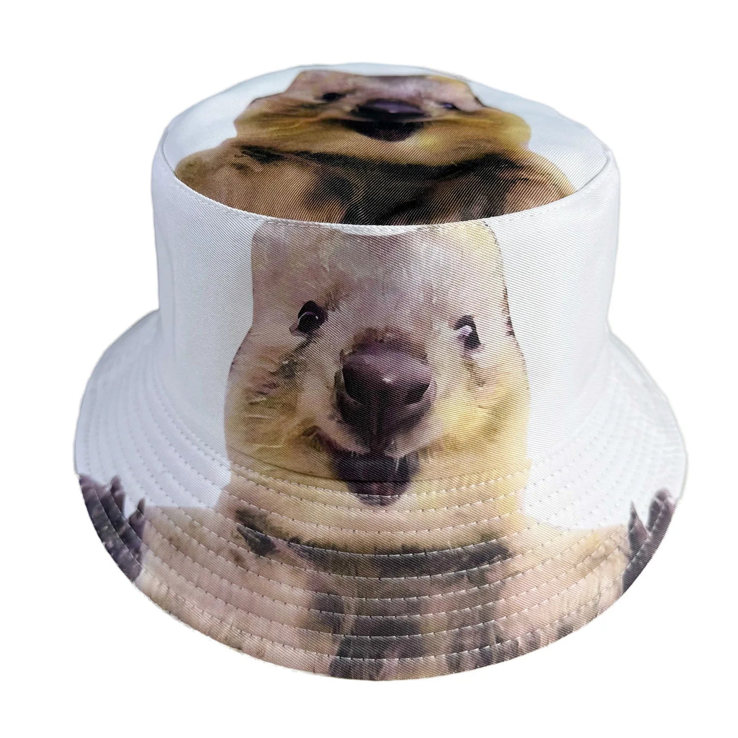 Classic Popular Funny Novelty animal cow frog duck fisherman hat Outdoor Leisure Sunscreen Sun Hat Men Women bucket hats