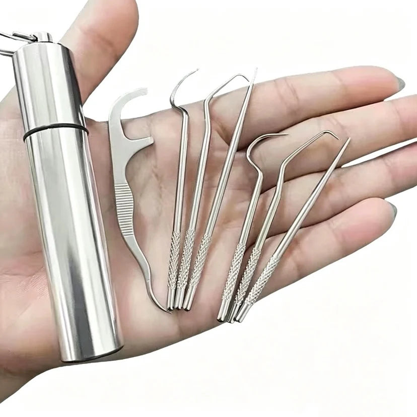 Stainless Steel Toothpick Set Reusable Toothpicks Tooth Flossing Tartar Removal Tool Portable Teeth Cleaner for Tooth Oral Clean Ürün ana görseli