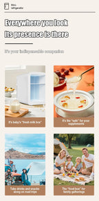 Mirror Car Refrigerator Home Small Fridge Mask For Makeup Cosmetics Home Refrigerator Cooling With LED Light Refrigerator For Makeup 4L/6L EU