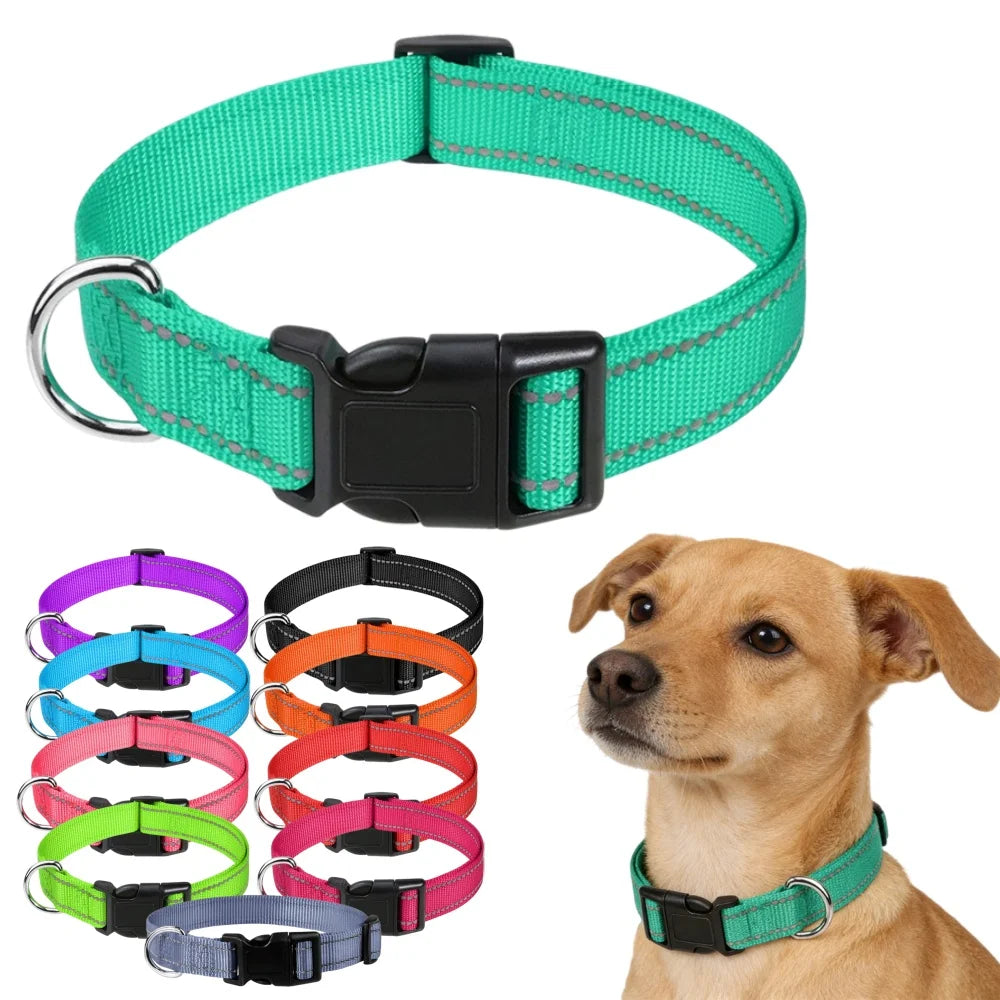 10 Colors Pet Dog Collar Nylon Neck Collar for Small Mdium Large Dog Chihuahua Leash Reflective Collars Supplies Pet Accessories Ürün ana görseli
