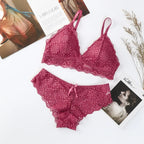 Women Push-Up Bra Set Sexy Lingerie Floral Lace Wire Free Bralette Low Rise Panties Sexy Briefs Female Underwear Intimates