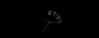 OnePlus Watch lite SmartWatch,1.46 inches Display,59g,10 Days of Reliable Power,Heart Rate,Blood Oxygen Monitorin