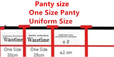 Hot Sale French Sexy Lingerie Set for Women Ultra Thin See Through Bra Panty Set Embroidery Lace Shaping Camisole Underwear Set