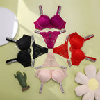 Bra and Panty Set Comfortable push up Shapewear Adjustable Padded Gathered New V Lace Lingerie Set Women's Sexy