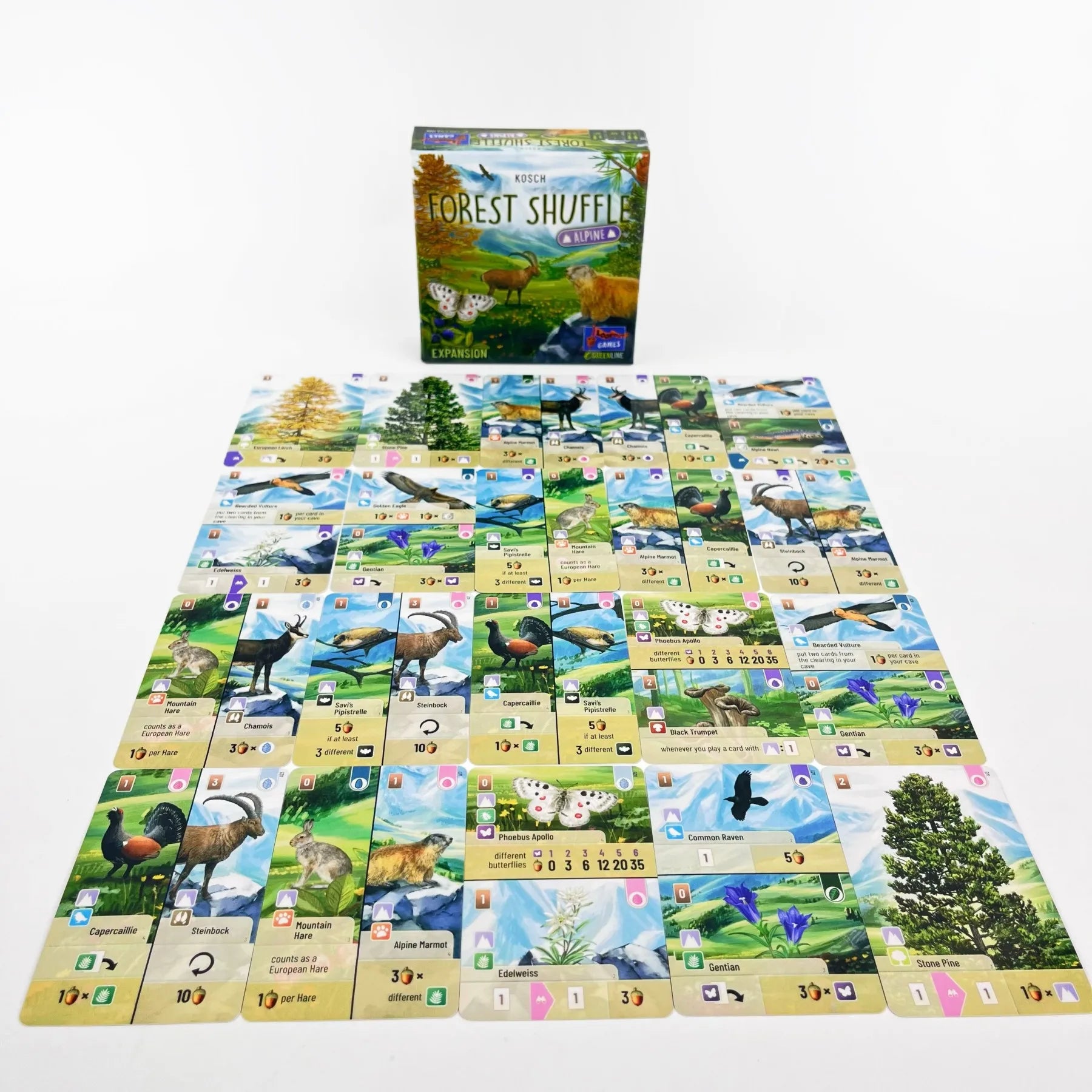 Forest Shuffle Card Game - Clever Strategy Game Fun Family Game for Kids and Adults - Woodland Edge、ALPINE、Expansion Game